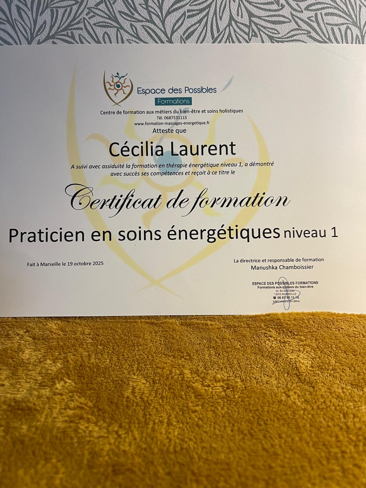 Diplôme Soins énergétiques